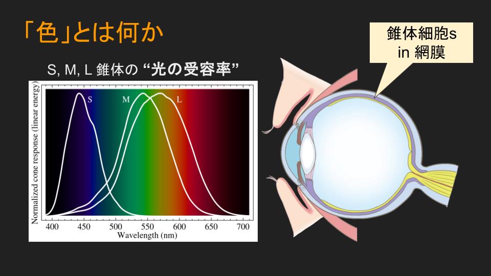 色彩工学の入り口に立つ（画像）